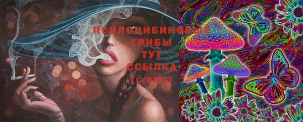 ешки Нефтекумск