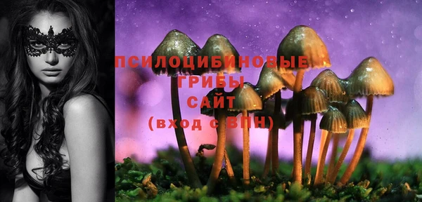 ешки Нефтекумск
