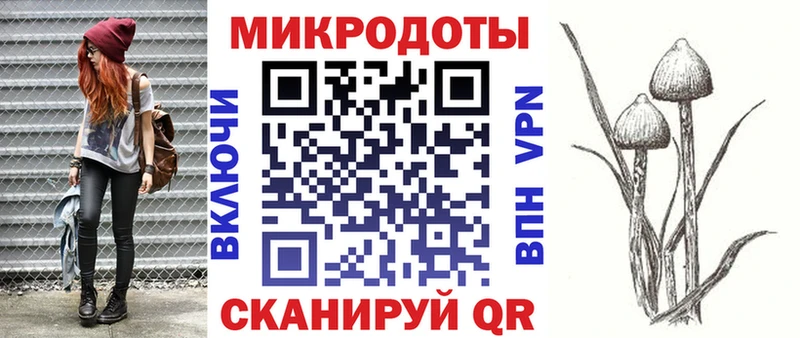 где продают   Новокубанск  Галлюциногенные грибы GOLDEN TEACHER 